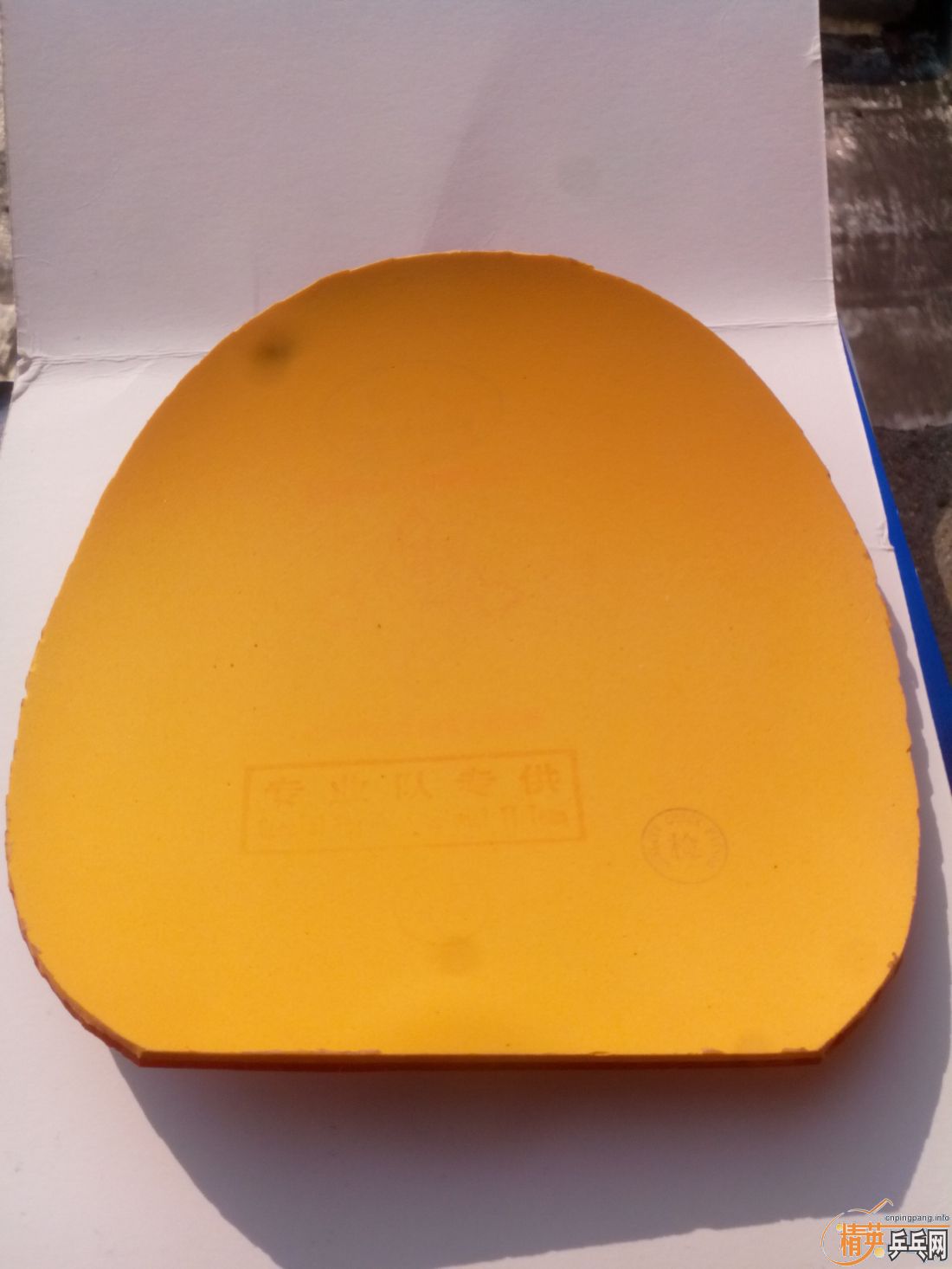 ����һ�ѽ�Ƥ  �����֧�װ�  ������ͼ   ֻ��������������