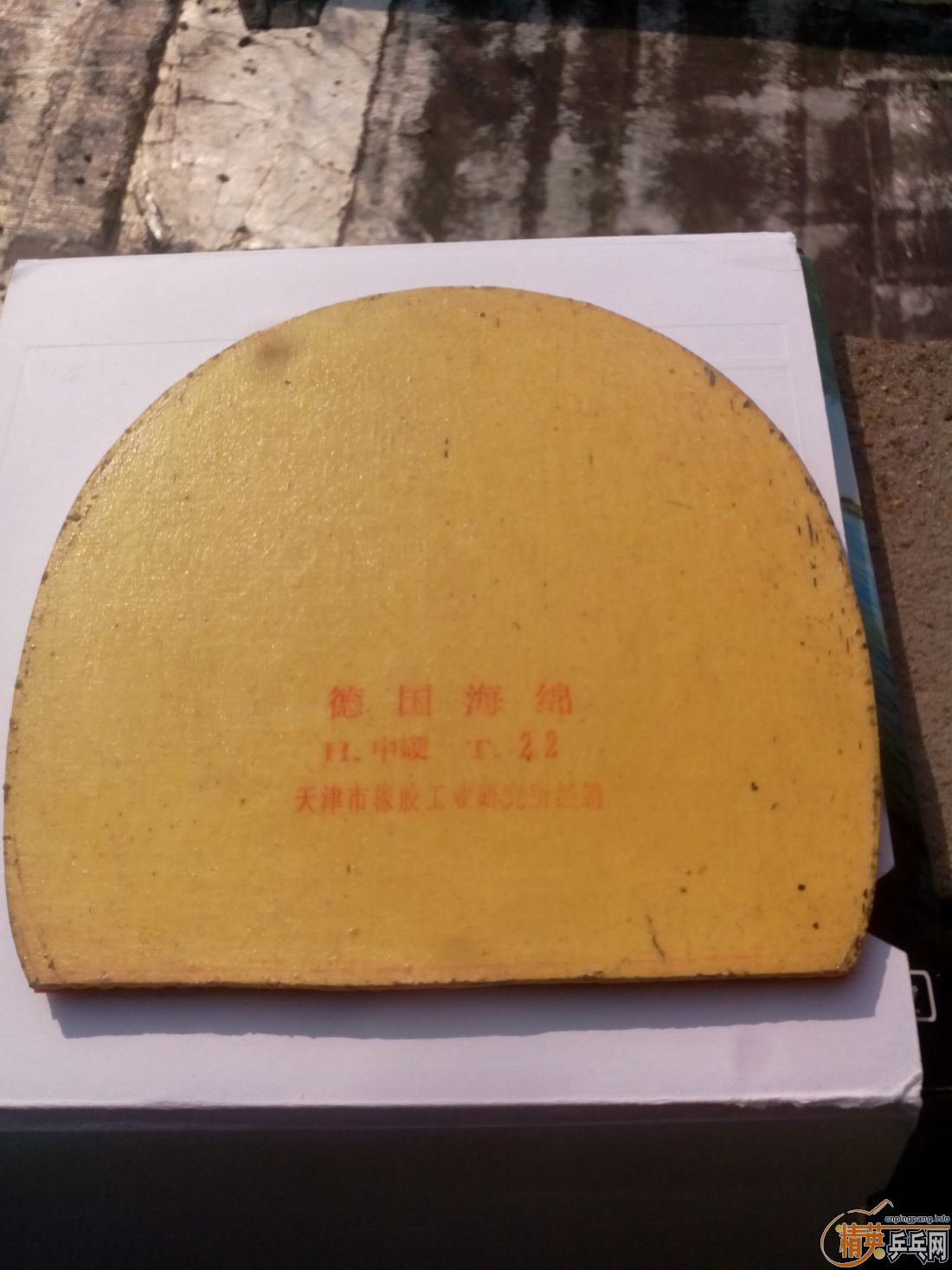 ����һ�ѽ�Ƥ  �����֧�װ�  ������ͼ   ֻ��������������