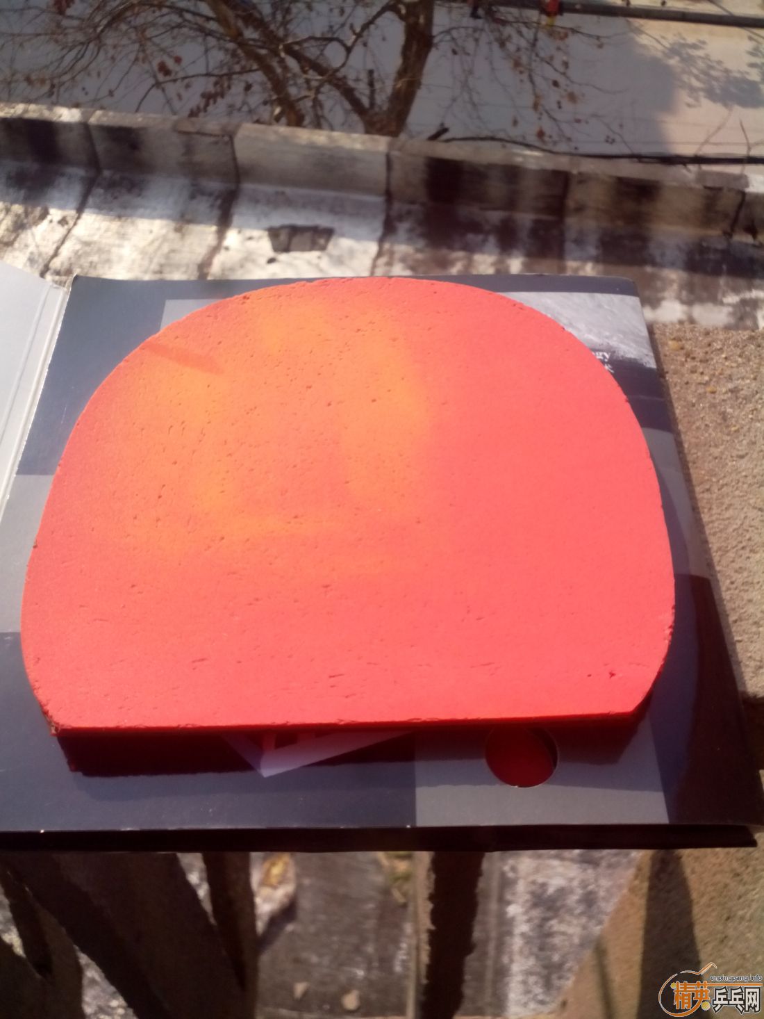 ����һ�ѽ�Ƥ  �����֧�װ�  ������ͼ   ֻ��������������