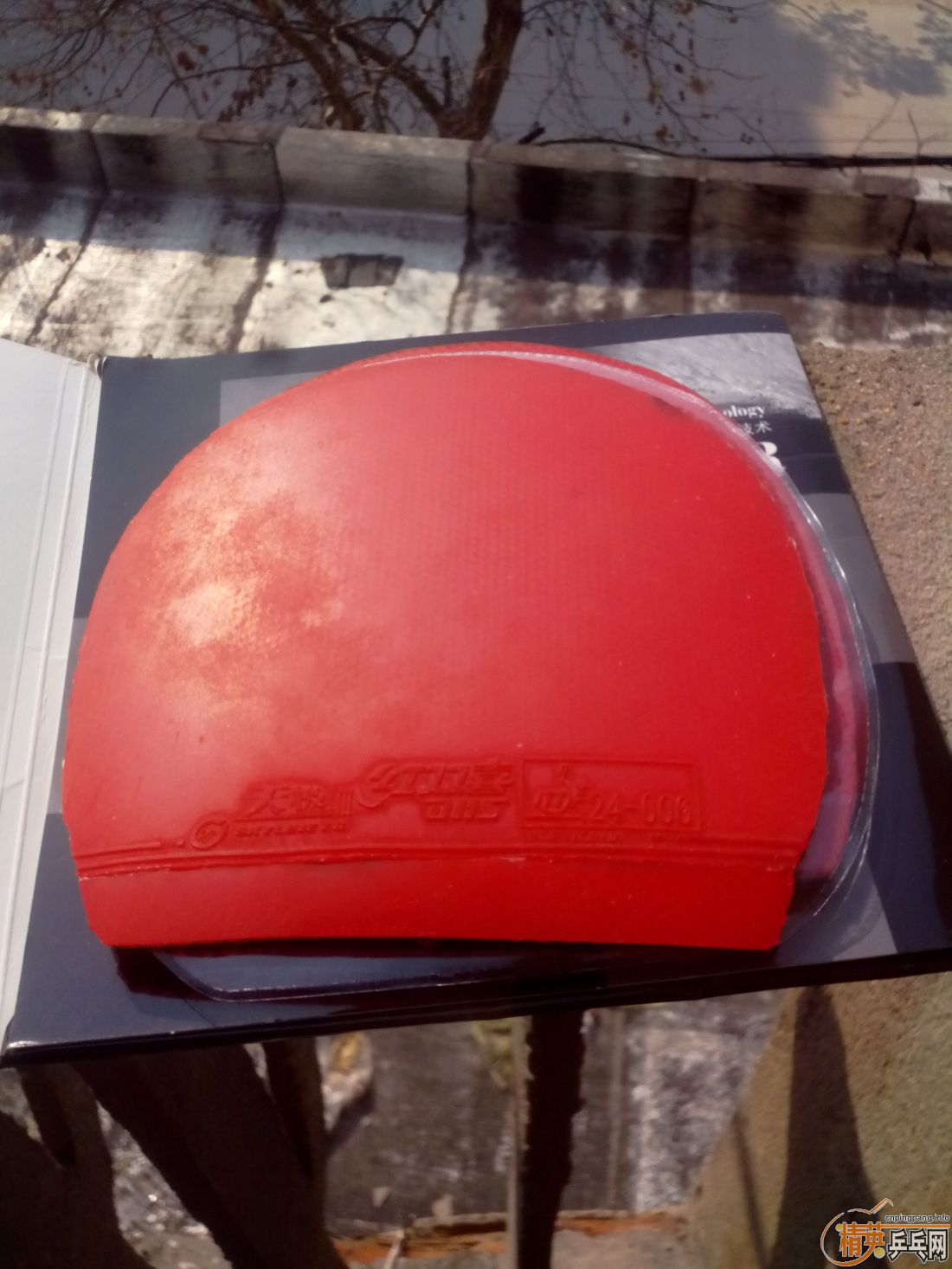 ����һ�ѽ�Ƥ  �����֧�װ�  ������ͼ   ֻ��������������