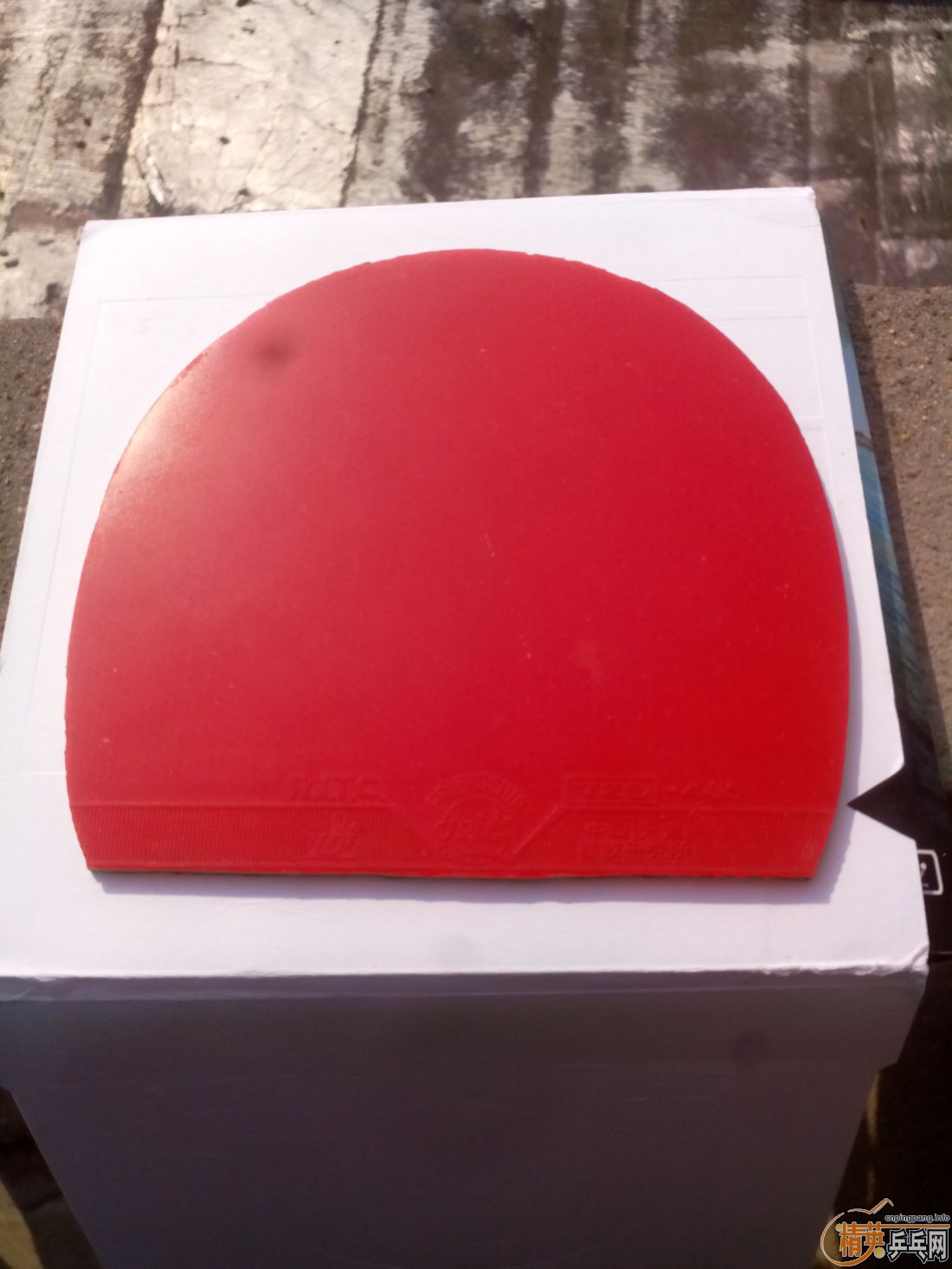 ����һ�ѽ�Ƥ  �����֧�װ�  ������ͼ   ֻ��������������