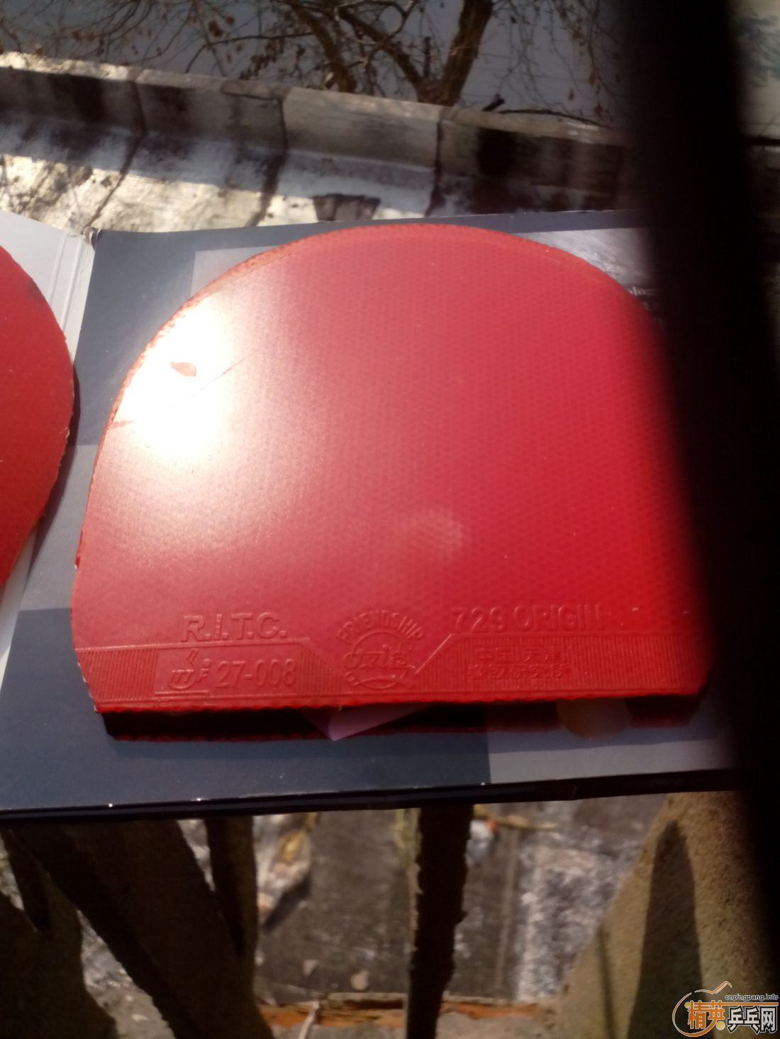 ����һ�ѽ�Ƥ  �����֧�װ�  ������ͼ   ֻ��������������