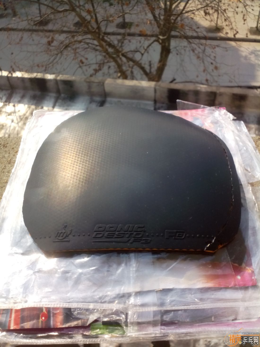 ����һ�ѽ�Ƥ  �����֧�װ�  ������ͼ   ֻ��������������