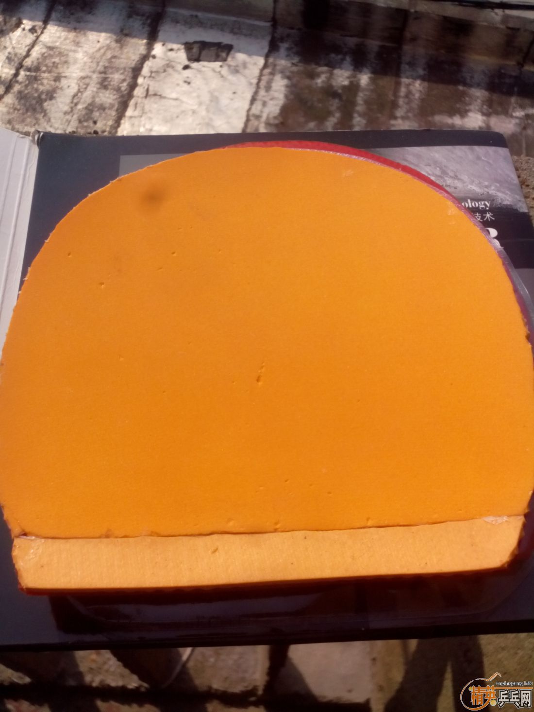 ����һ�ѽ�Ƥ  �����֧�װ�  ������ͼ   ֻ��������������