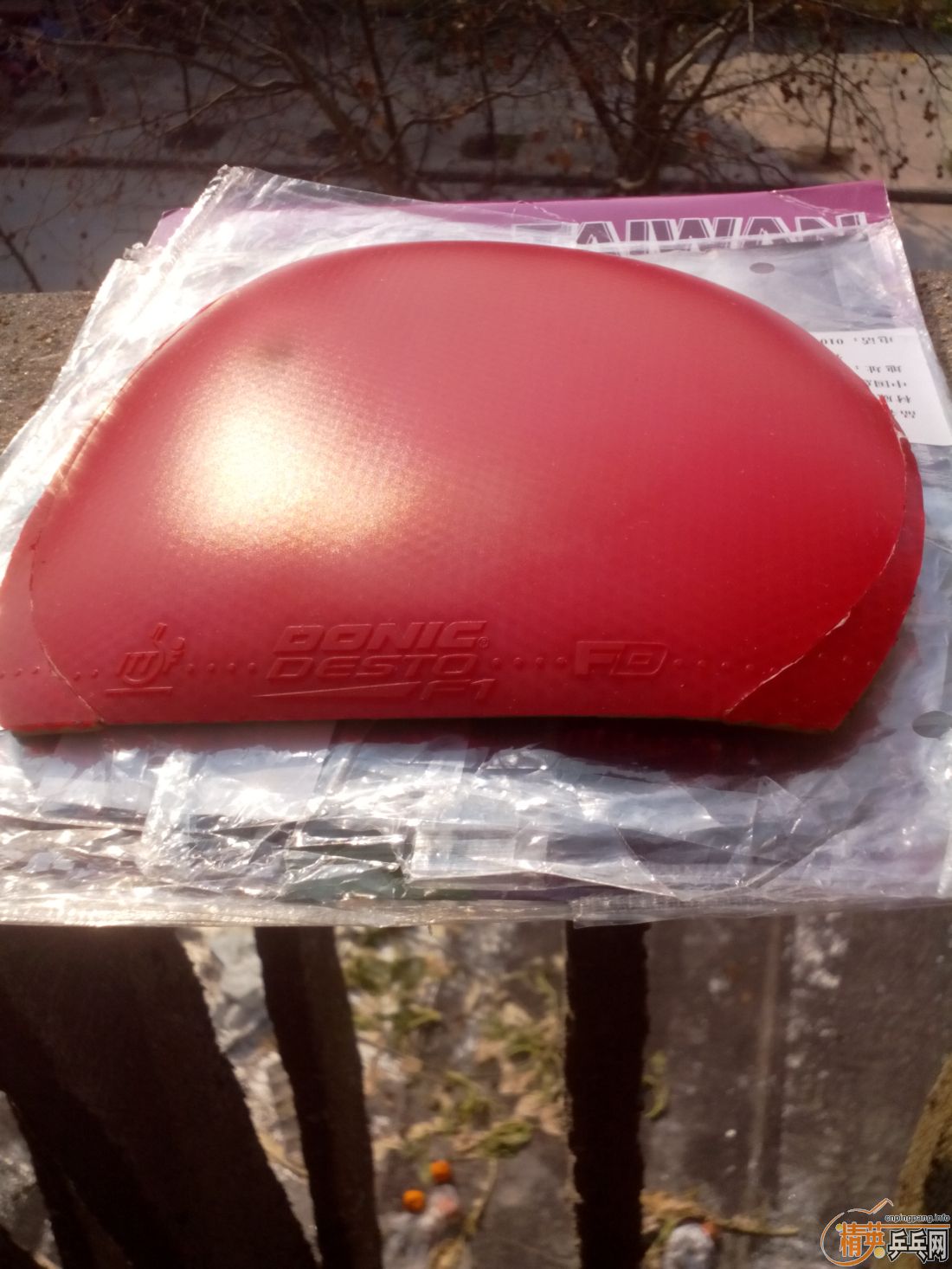 ����һ�ѽ�Ƥ  �����֧�װ�  ������ͼ   ֻ��������������