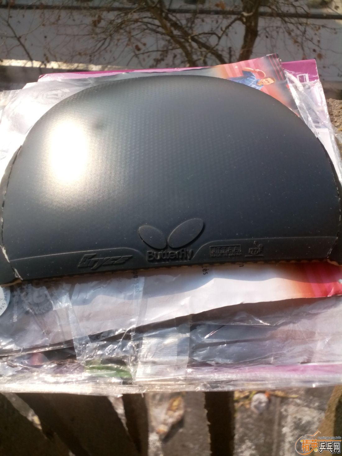 ����һ�ѽ�Ƥ  �����֧�װ�  ������ͼ   ֻ��������������