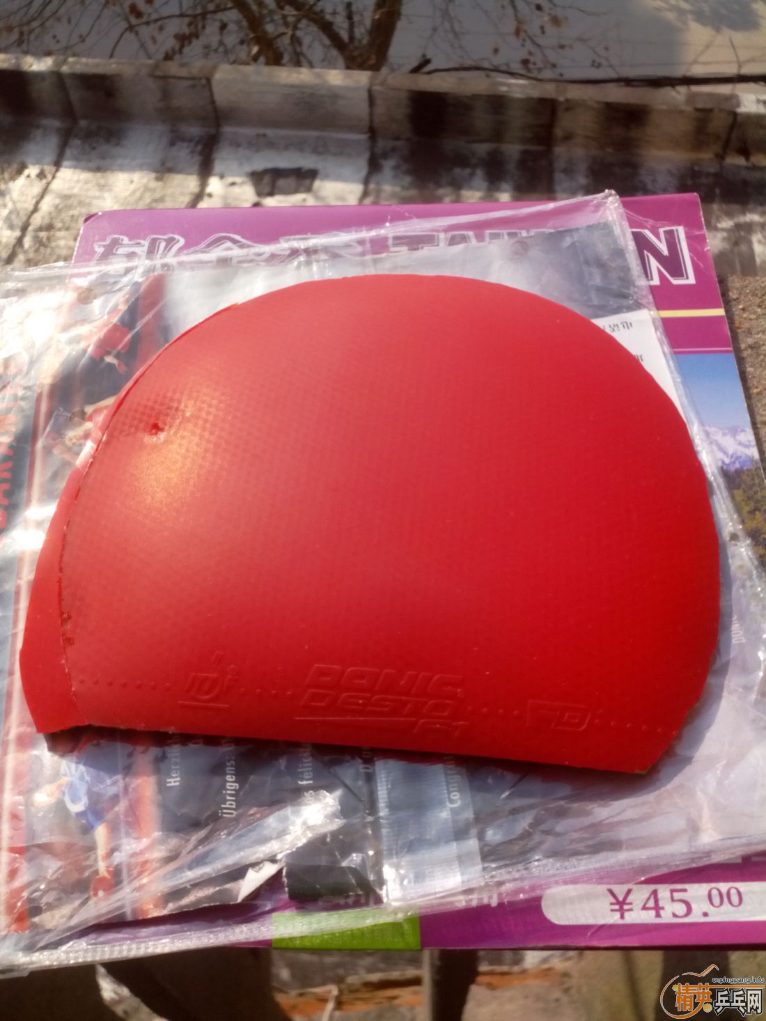 ����һ�ѽ�Ƥ  �����֧�װ�  ������ͼ   ֻ��������������