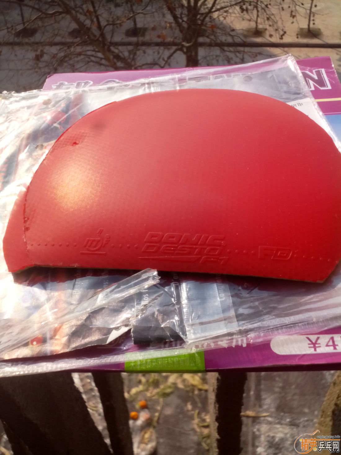 ����һ�ѽ�Ƥ  �����֧�װ�  ������ͼ   ֻ��������������