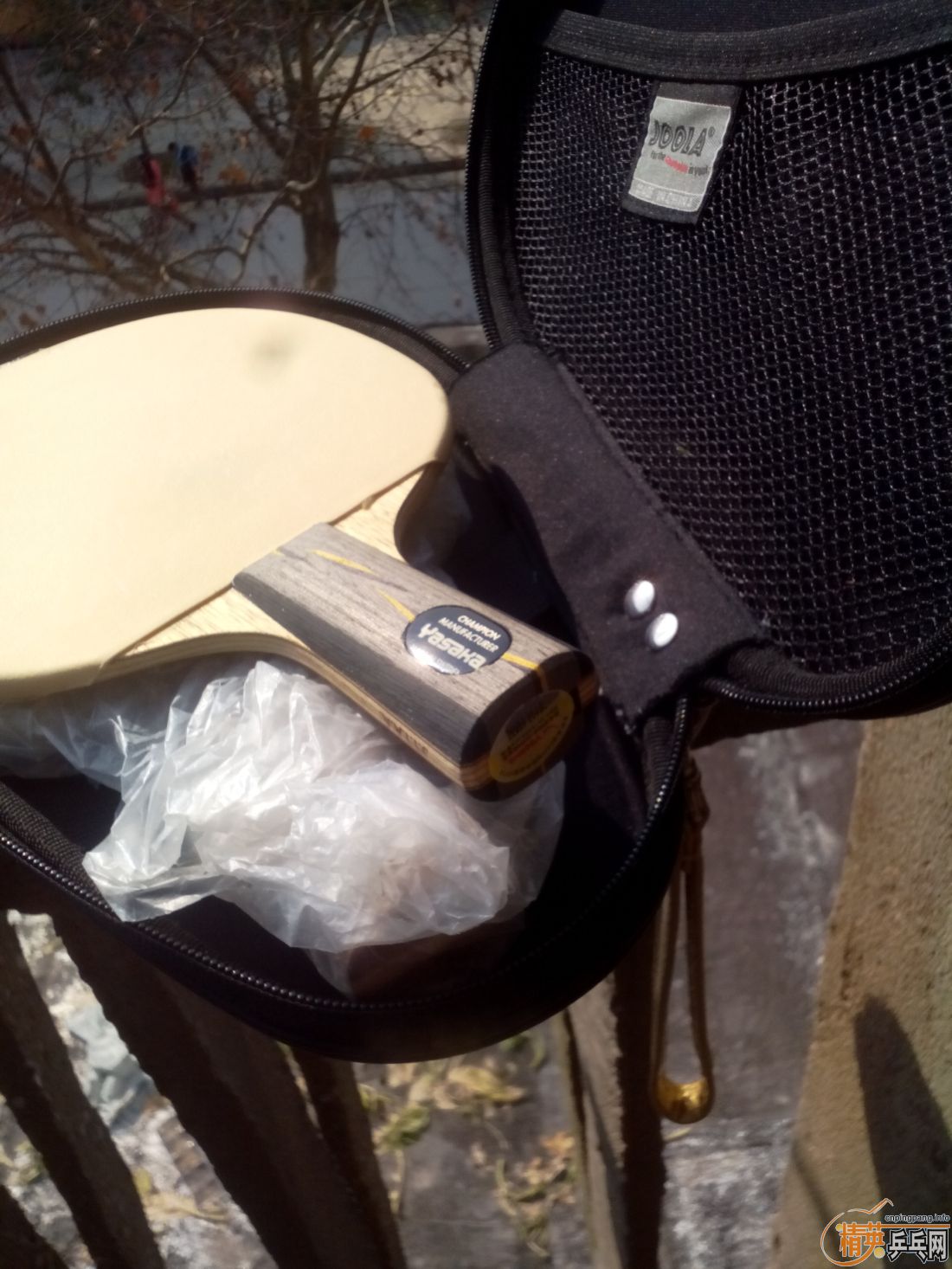 ����һ�ѽ�Ƥ  �����֧�װ�  ������ͼ   ֻ��������������