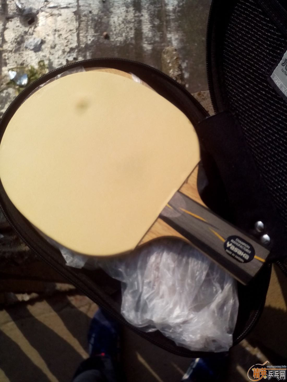 ����һ�ѽ�Ƥ  �����֧�װ�  ������ͼ   ֻ��������������