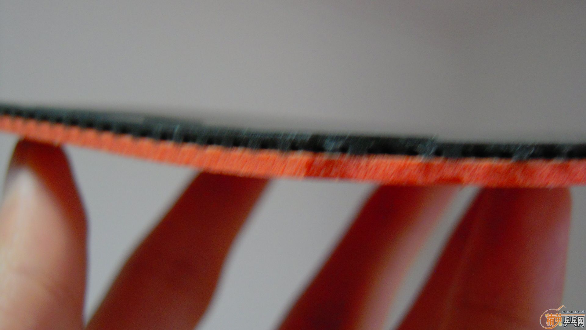 �����հ����T05����ɫ2.1��210���ʣ��������飡