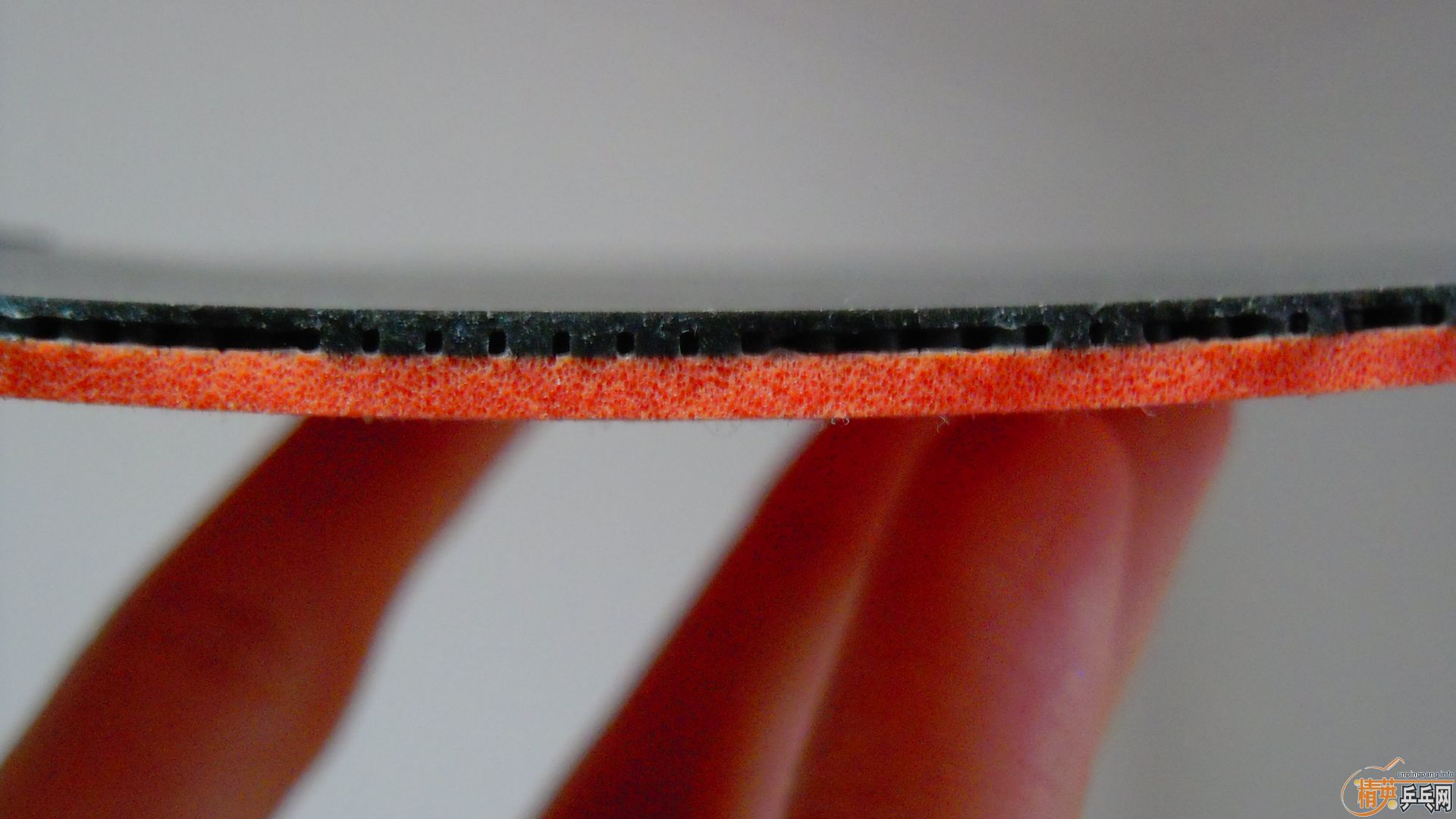 �����հ����T05����ɫ2.1��210���ʣ��������飡