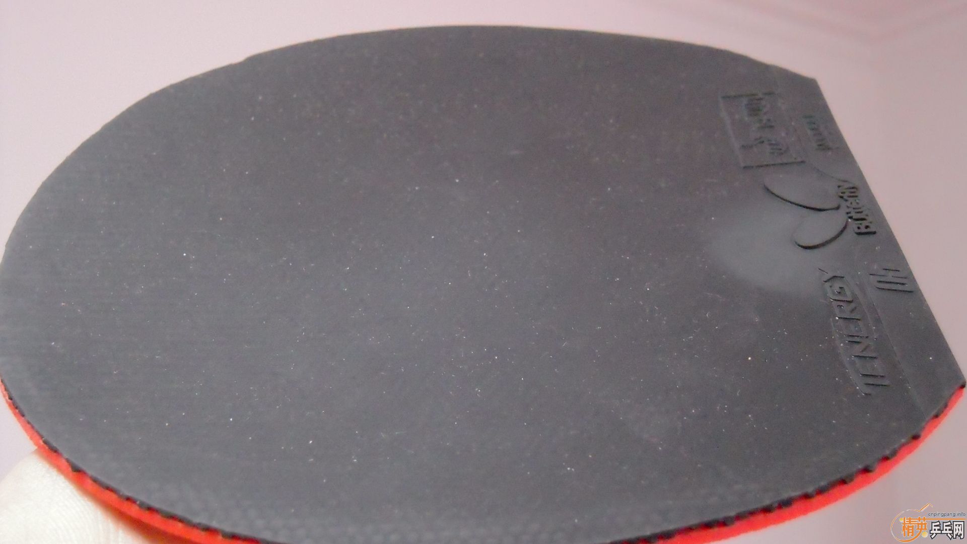 �����հ����T05����ɫ2.1��210���ʣ��������飡