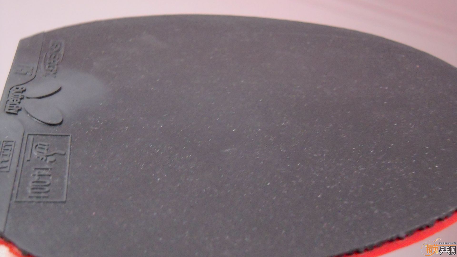 �����հ����T05����ɫ2.1��210���ʣ��������飡