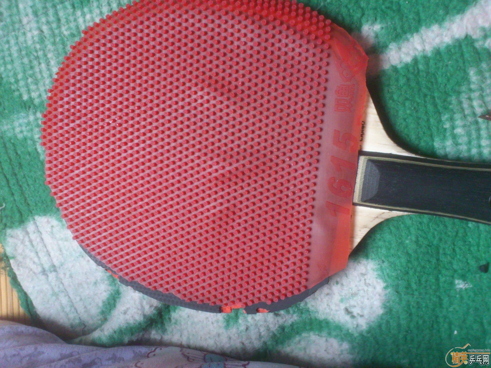 �����ó���ʤ�л�OCCR