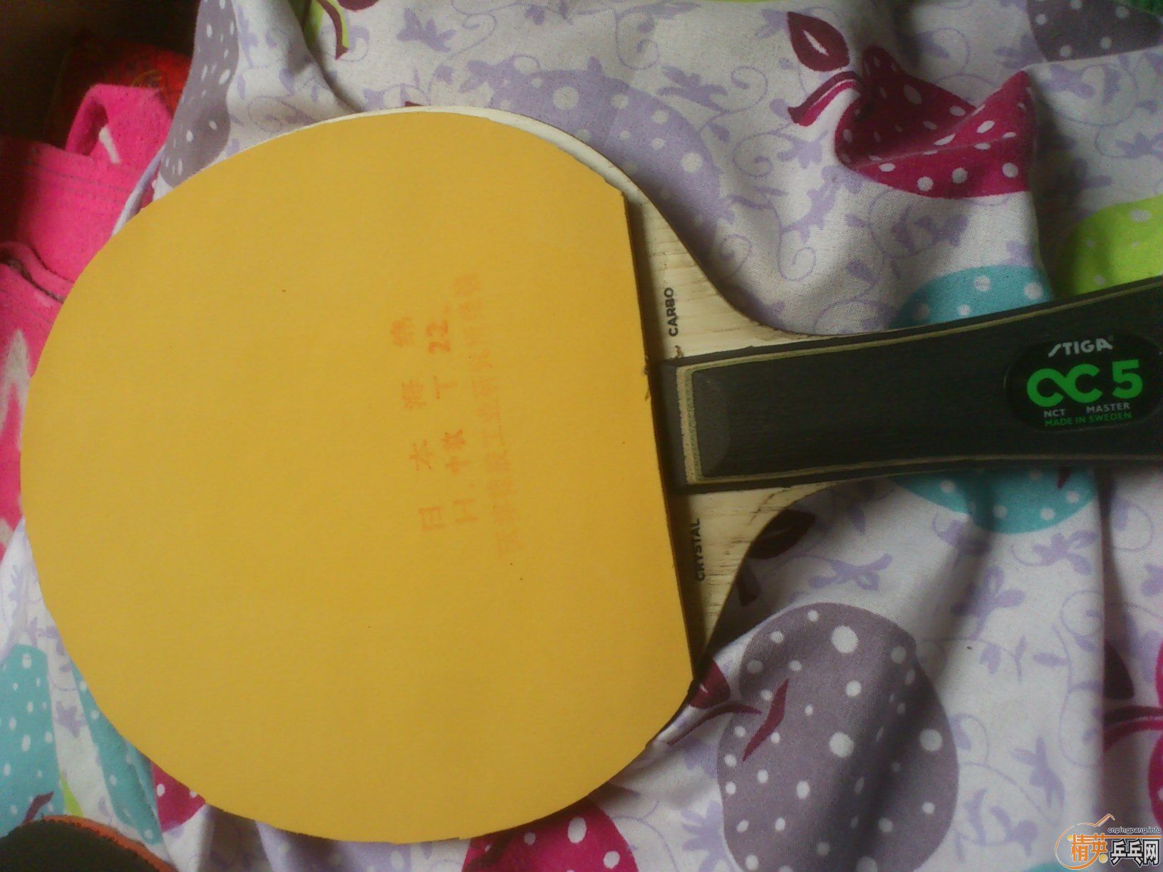 �����ó���ʤ�л�OCCR