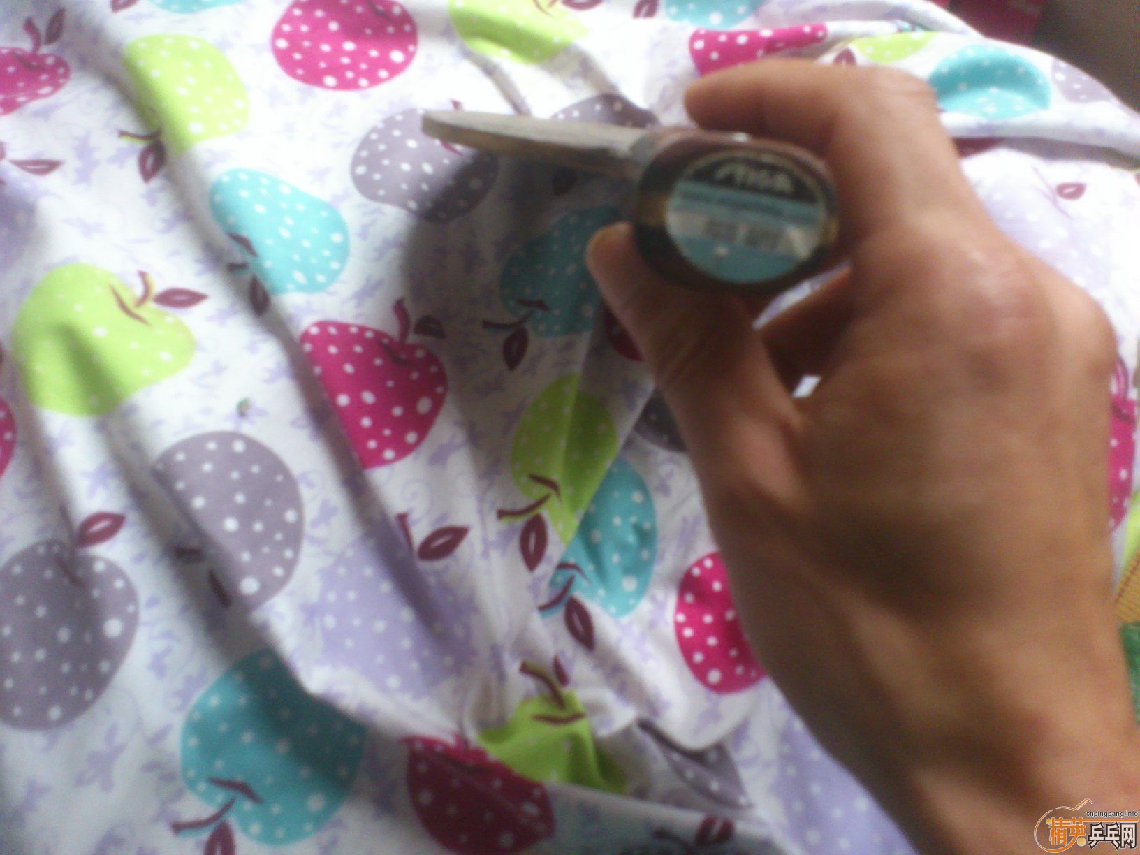 �����ó���ʤ�л�OCCR