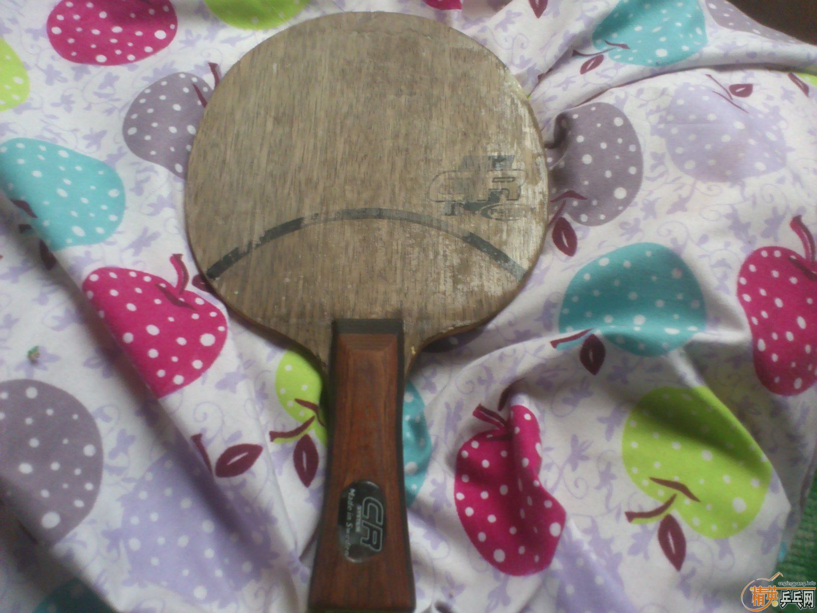 �����ó���ʤ�л�OCCR