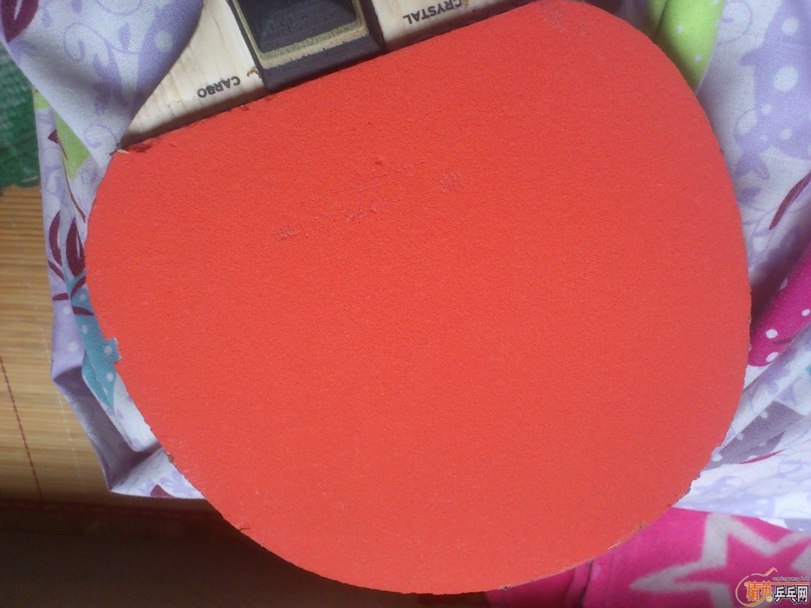 �����ó���ʤ�л�OCCR