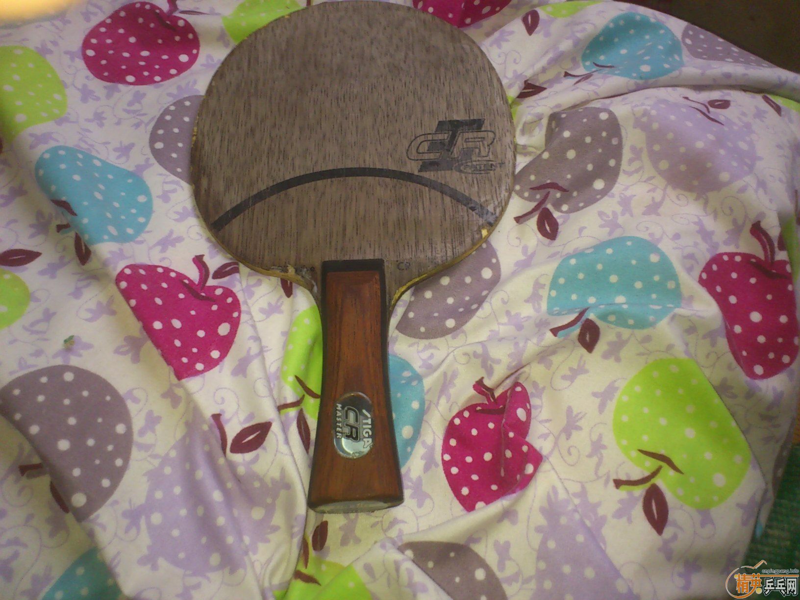 �����ó���ʤ�л�OCCR