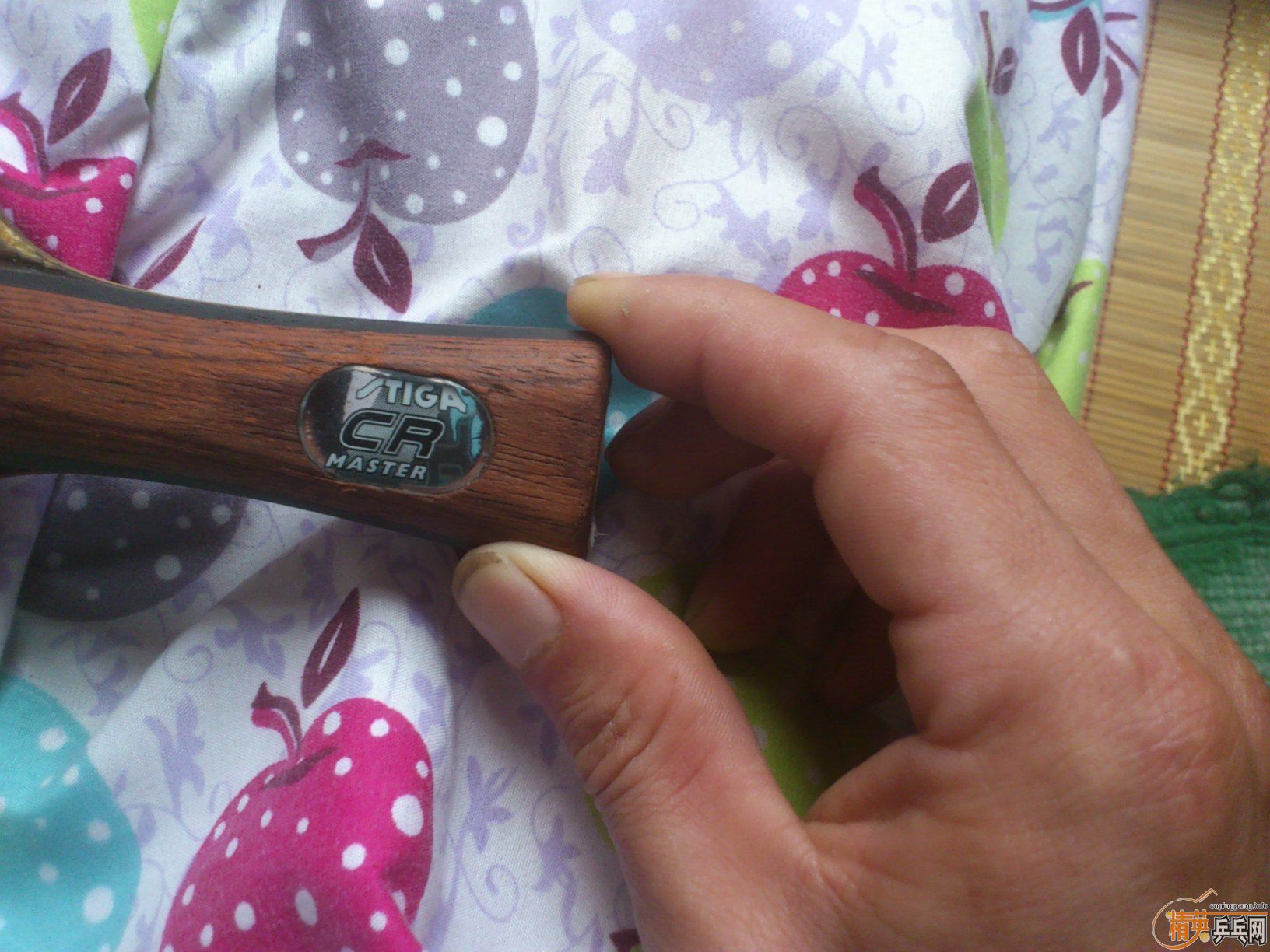 �����ó���ʤ�л�OCCR