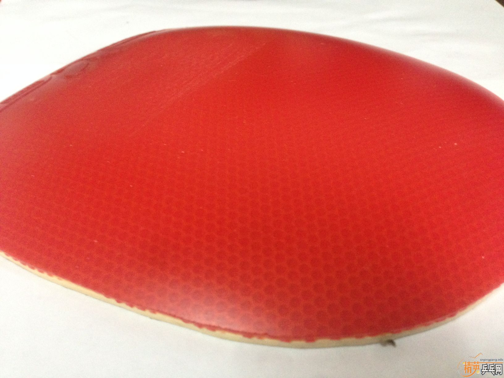 �����ۡ�ȫ��200�����ʣ����� ��� �� ��ɫ������999 ���˺�20�ųȺ��� ��ɫ��CJ8000 ��ɫ��ӣ��868 ��ɫ