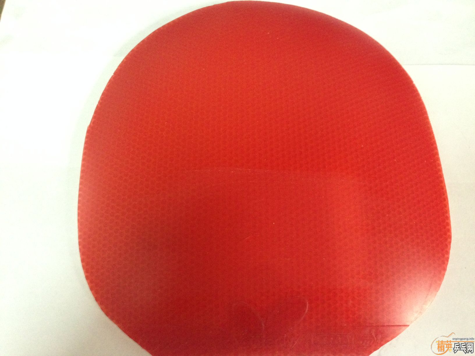 �����ۡ�ȫ��200�����ʣ����� ��� �� ��ɫ������999 ���˺�20�ųȺ��� ��ɫ��CJ8000 ��ɫ��ӣ��868 ��ɫ