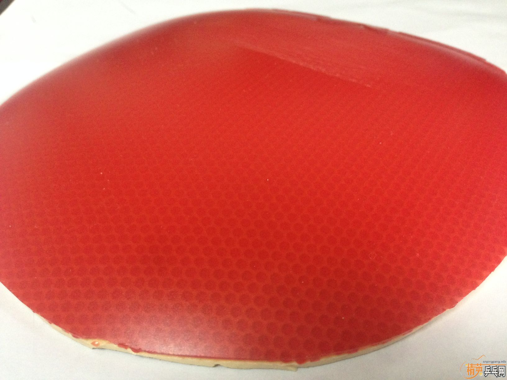 �����ۡ�ȫ��200�����ʣ����� ��� �� ��ɫ������999 ���˺�20�ųȺ��� ��ɫ��CJ8000 ��ɫ��ӣ��868 ��ɫ