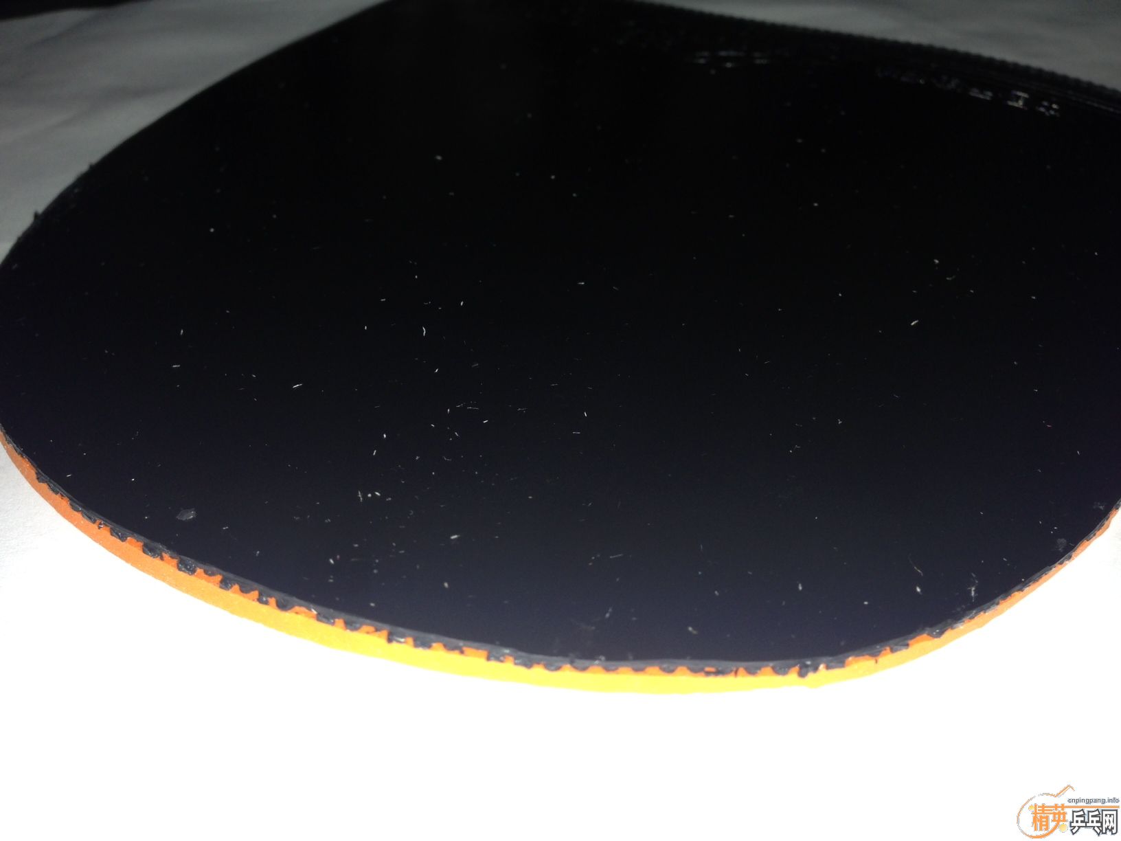 �����ۡ�ȫ��200�����ʣ����� ��� �� ��ɫ������999 ���˺�20�ųȺ��� ��ɫ��CJ8000 ��ɫ��ӣ��868 ��ɫ