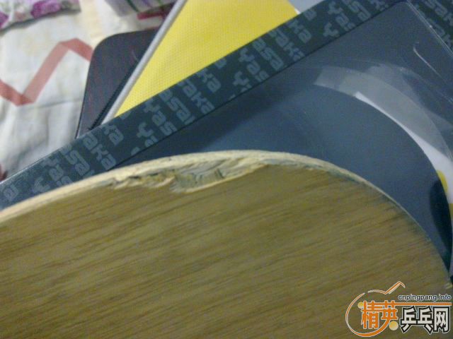 �����հ��л�����̼