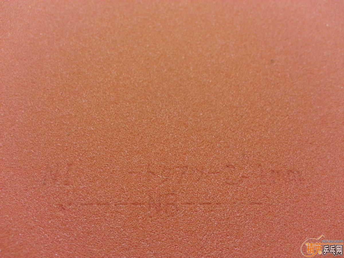 T05��ɫһ�� Nittaku G1