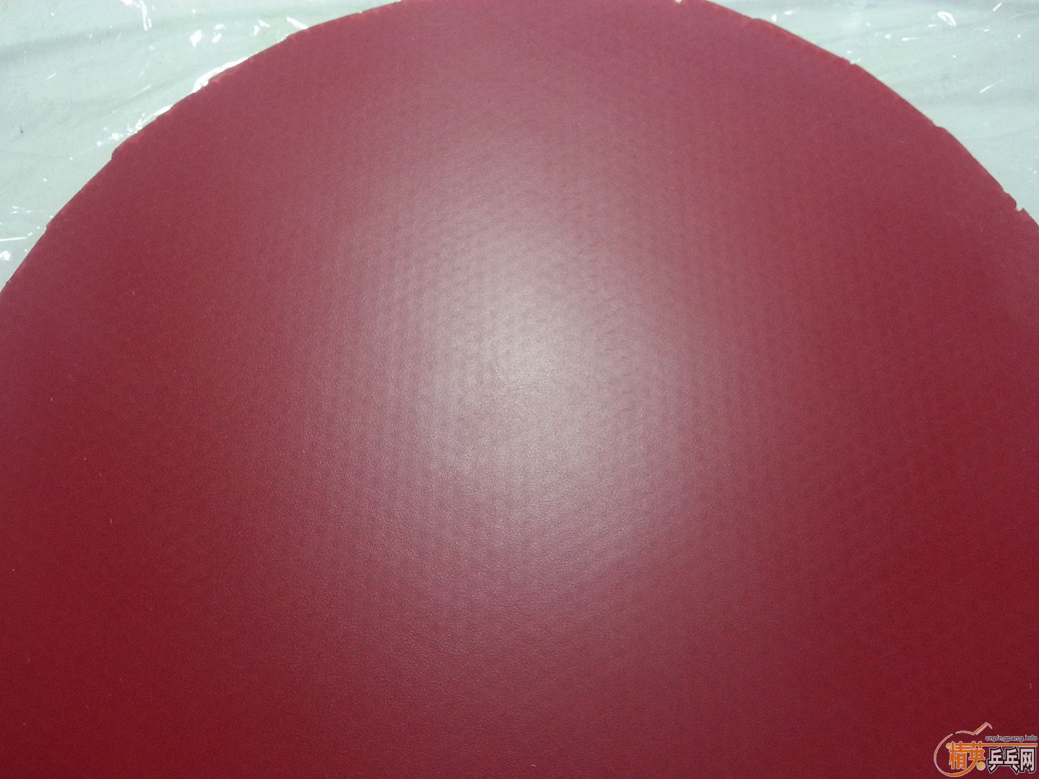 T05��ɫһ�� Nittaku G1