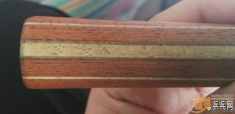 ���յھŲ����������л�õ��5.����֧��������