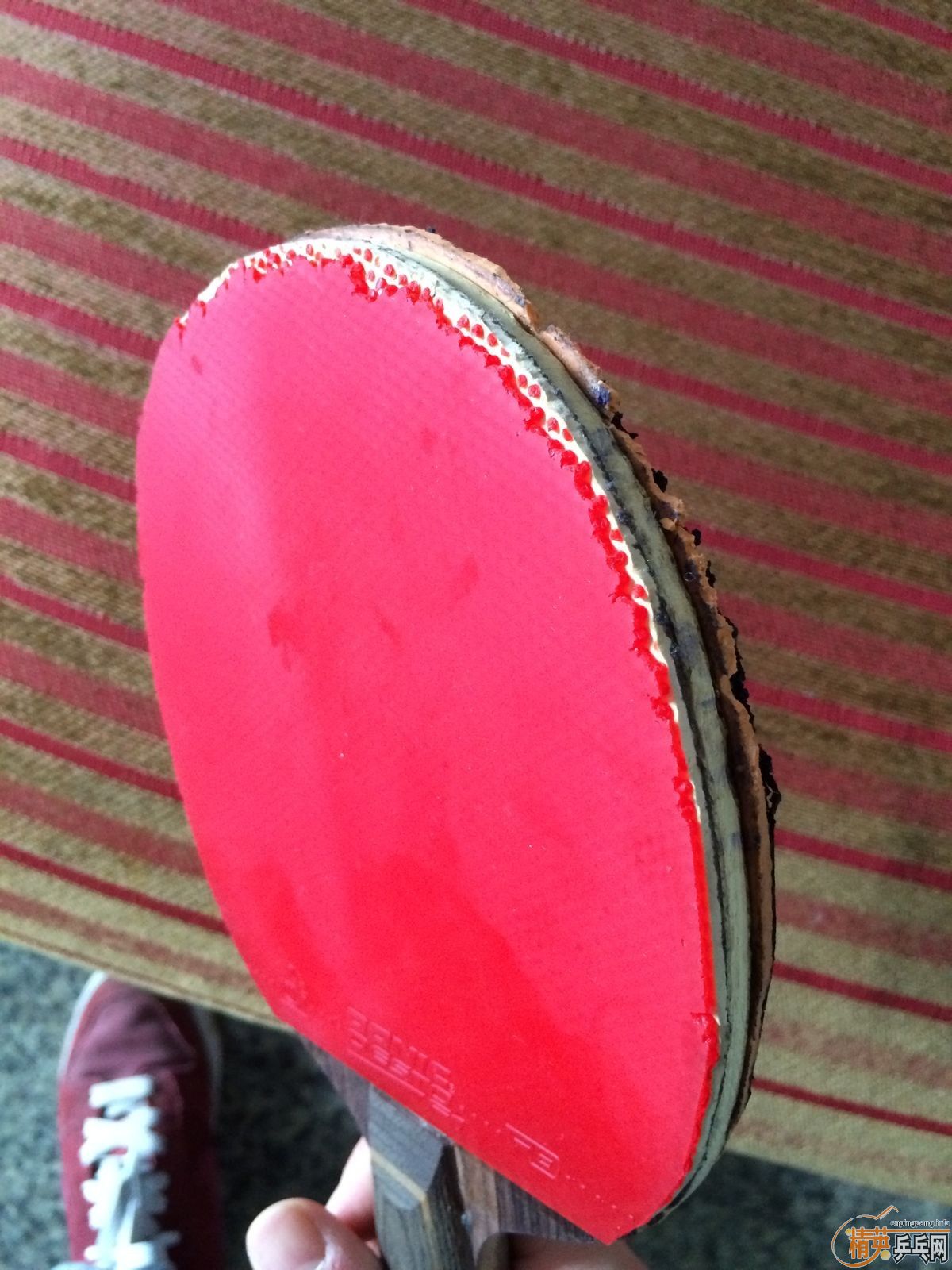 ����ʡ�񣬺�F1