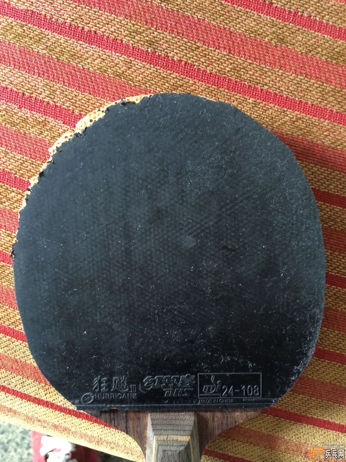 ����ʡ�񣬺�F1