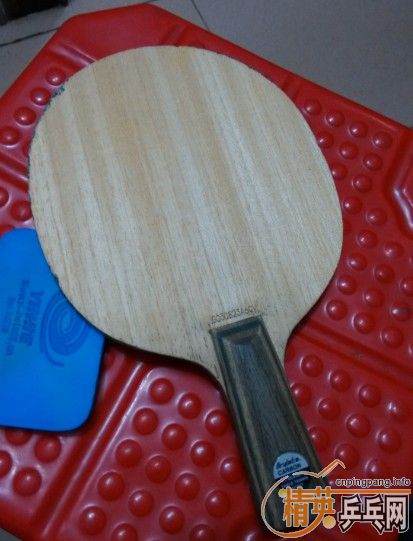 ���ѳ������ƺ���������Ҫ������ϵ����������������������������������