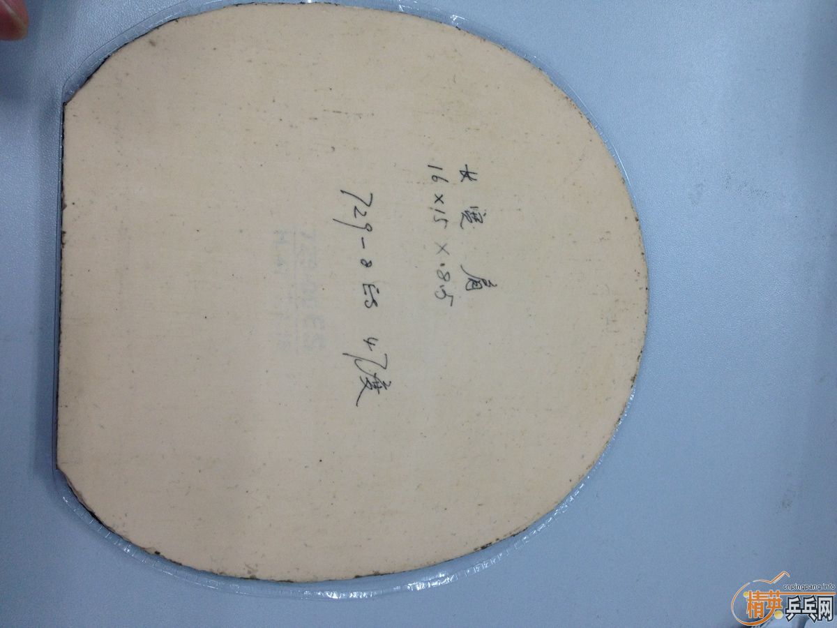 ��һ�Ѿɽ�Ƥ������2����ӡ2, 729-08-ES, FLYATT, ��������