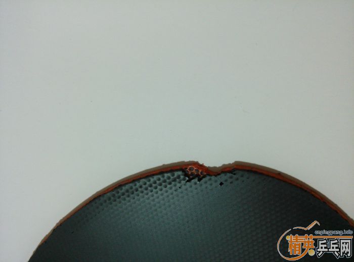 ��11��T05��6��5�ڡ�