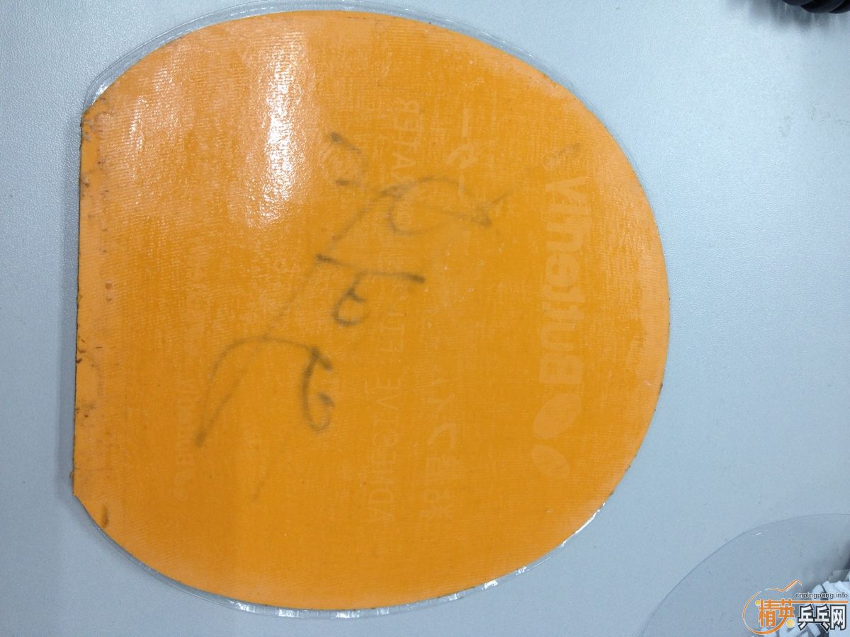 ��һ�Ѿɽ�Ƥ������2����ӡ2, 729-08-ES, FLYATT, ��������