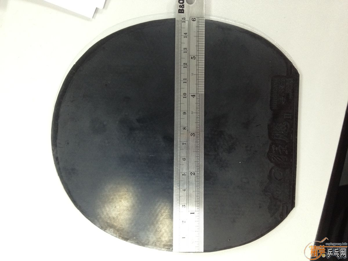 ��һ�Ѿɽ�Ƥ������2����ӡ2, 729-08-ES, FLYATT, ��������