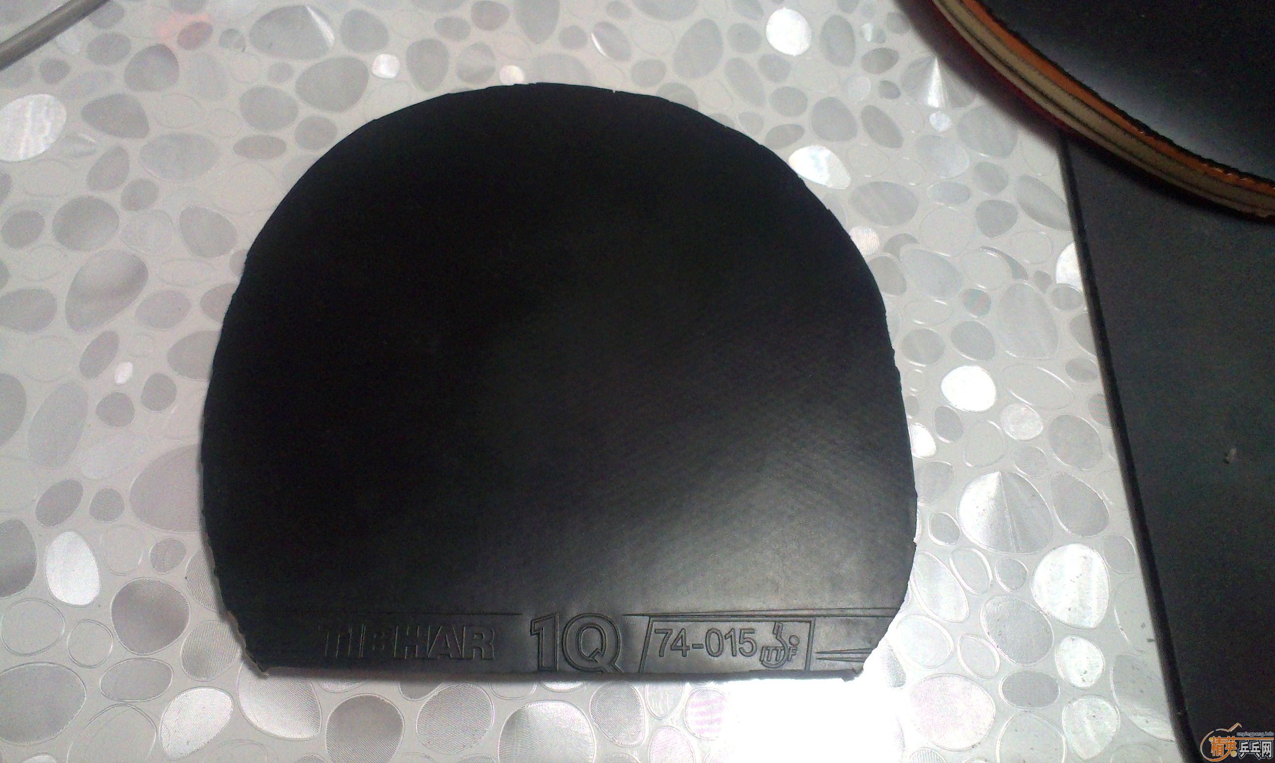 ֧������NEOʡ��3��ͦ��1QXD���������塢������Vŷ��