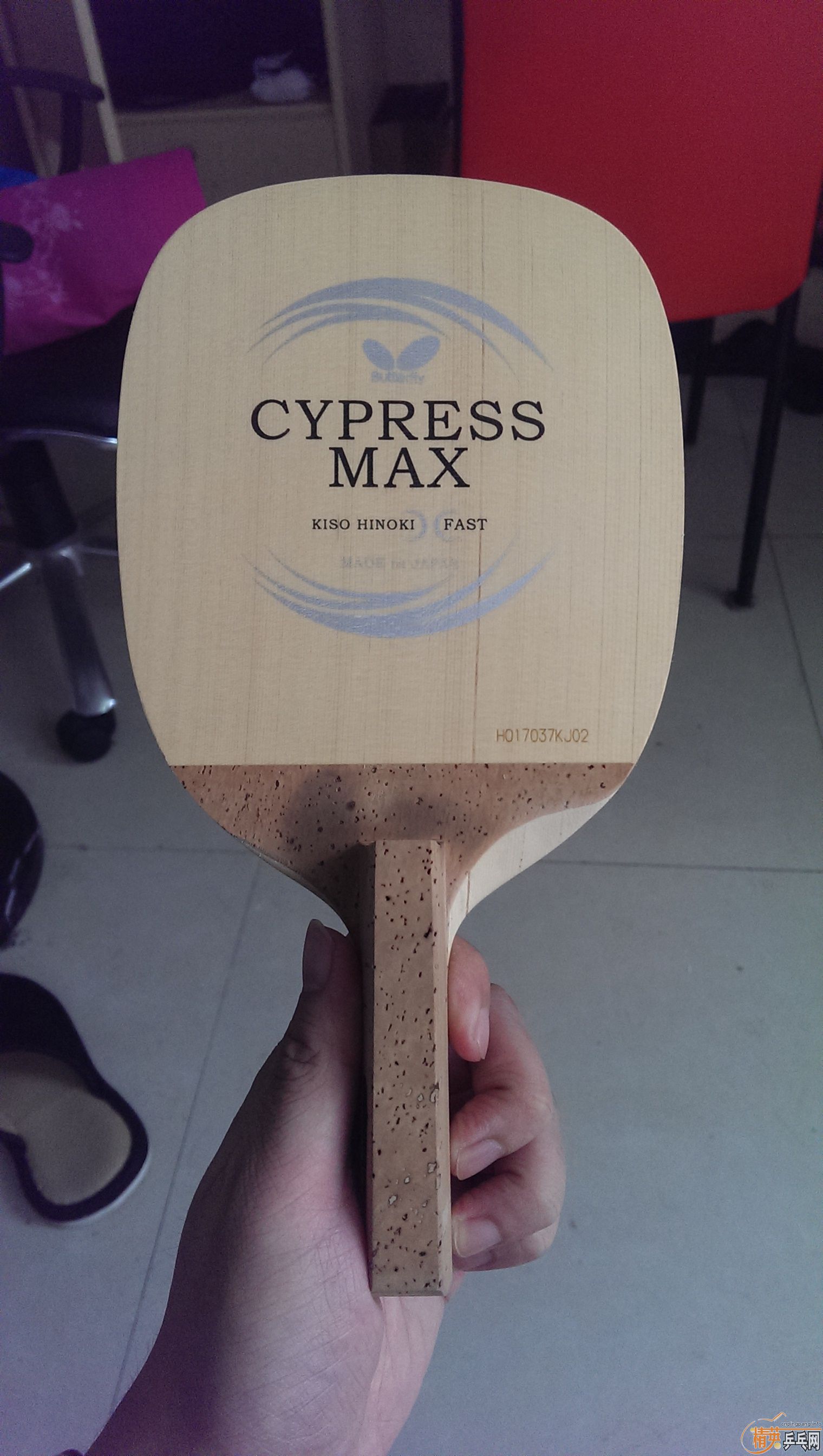 ֱHcypress max9mmⳬѡA