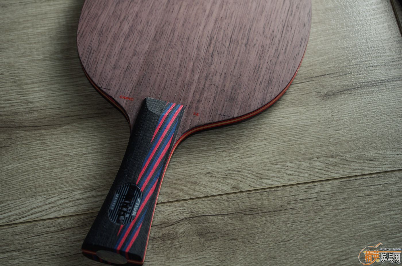 Stiga Carbo 7.6 Master ���̼�� �л� 400����.