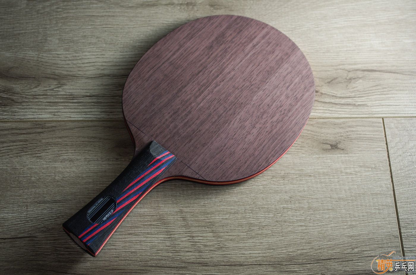 Stiga Carbo 7.6 Master ���̼�� �л� 400����.