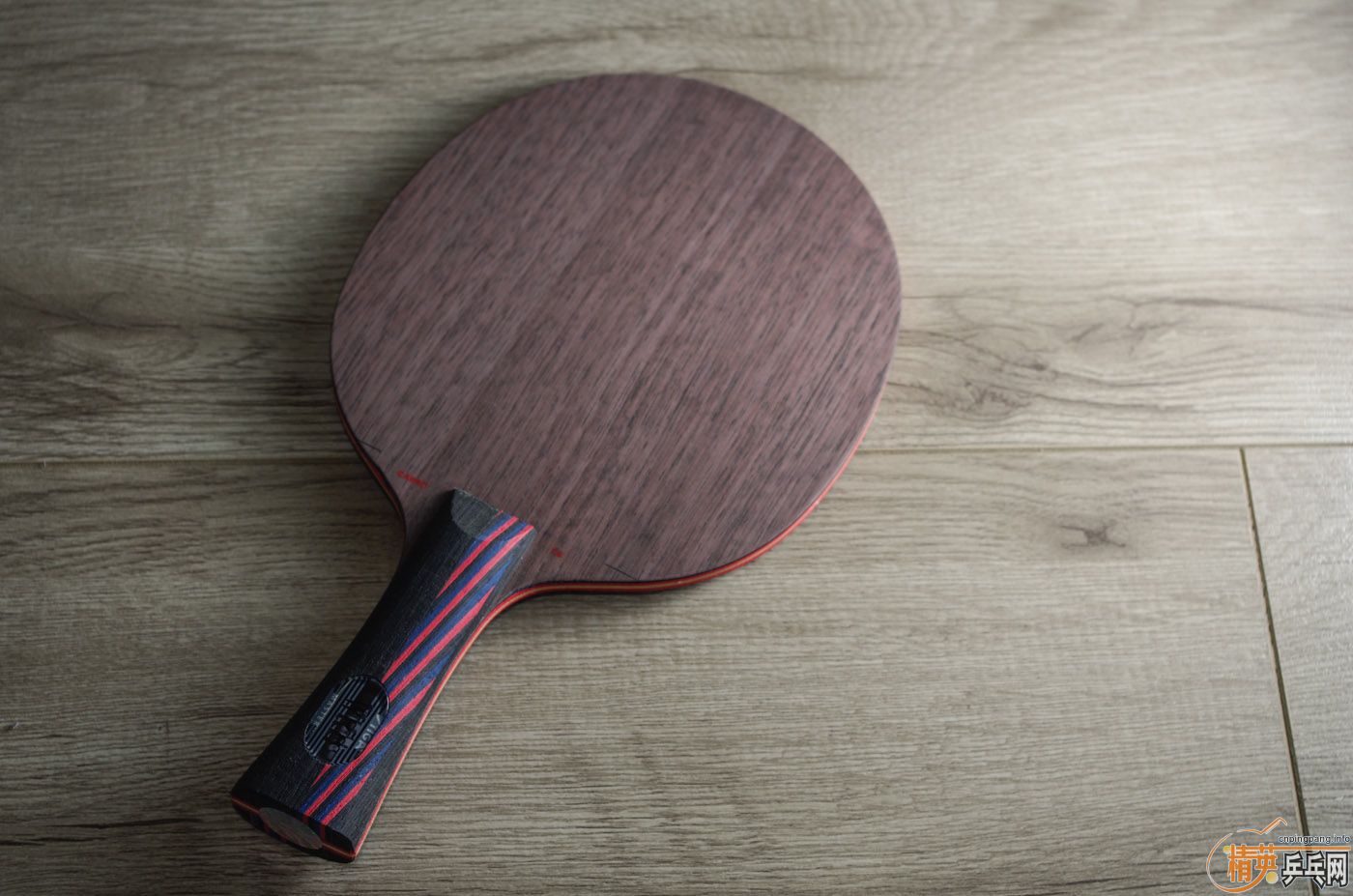 Stiga Carbo 7.6 Master ���̼�� �л� 400����.