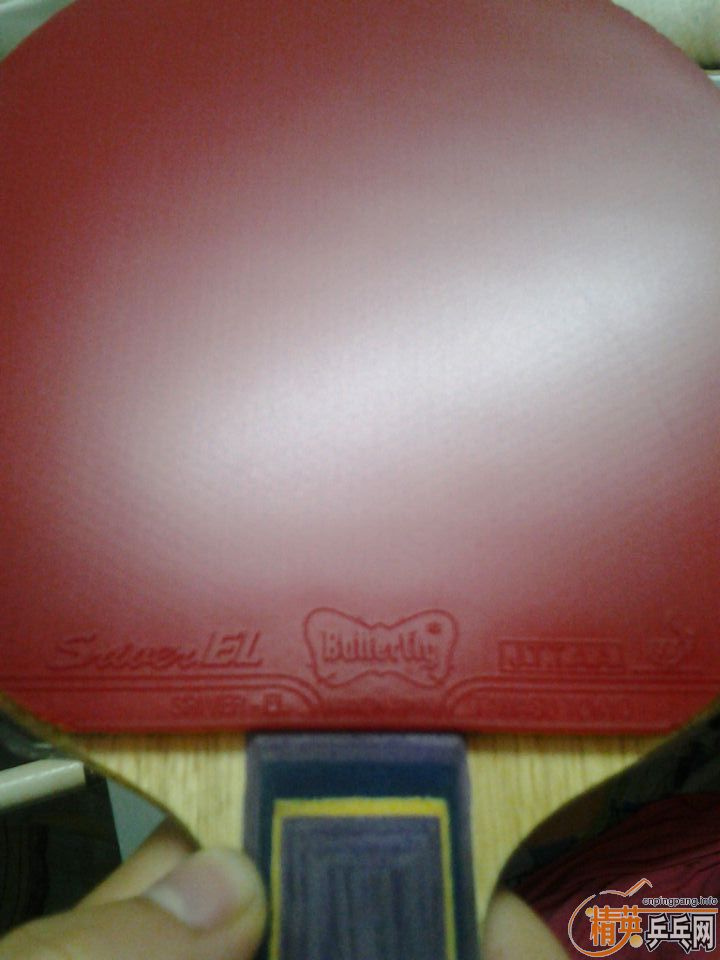 һ�ѽ�Ƥ����������������¾ɶ���