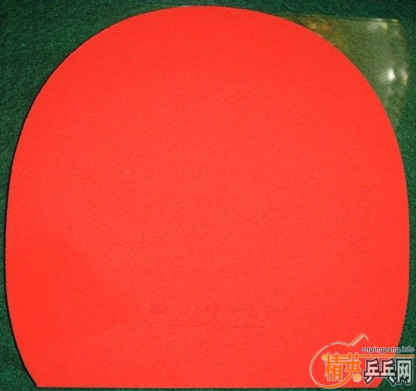 ��8.5���º���T05�׽���ֱ�����������