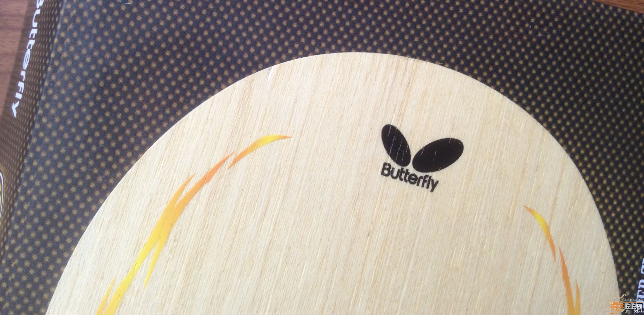 �������ż̿�-FL