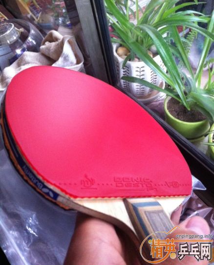 ���ž��·ǳ����ã�2.0��ȵ�F1�׽�����������