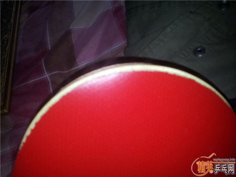 �л�CLCR 89�� ʡ��39�� ��JO��